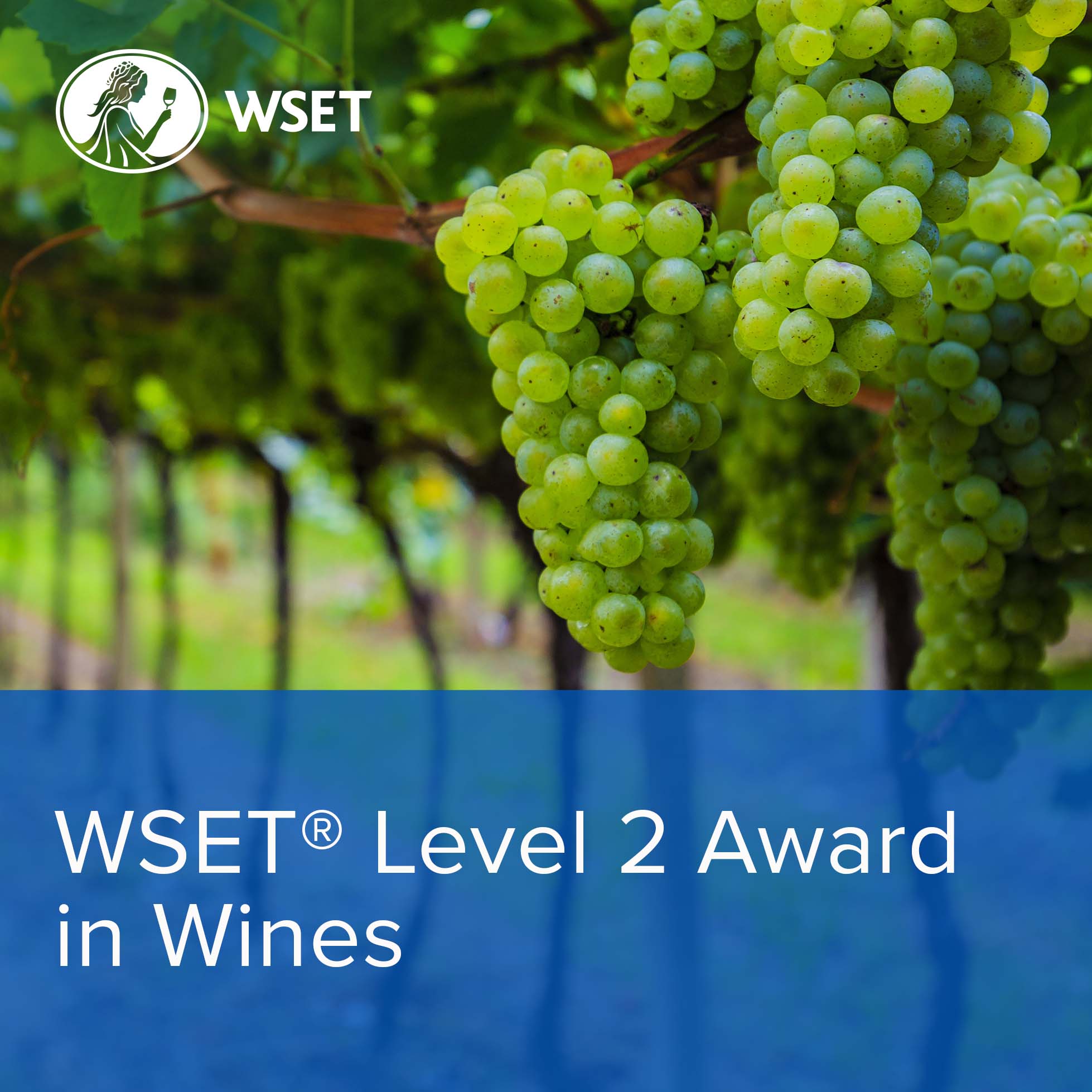 WSET Level 2 award in Wines
