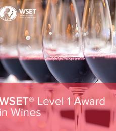 WSET Level 1 Wine
