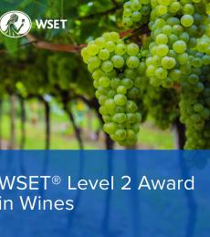 WSET Level 2 Wines