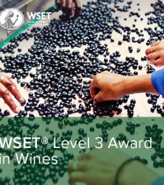 WSET Level 3 in Wines