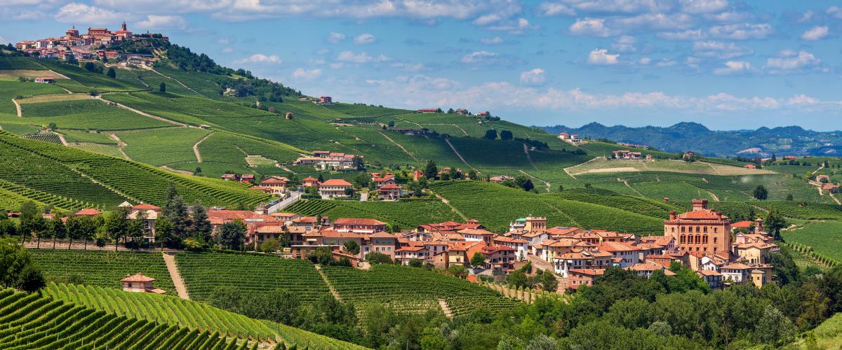 Barolo